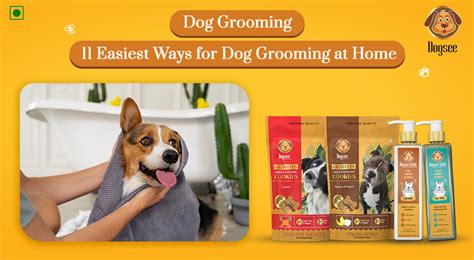 11 Easiest Ways for Dog Grooming at Home | Dogsee