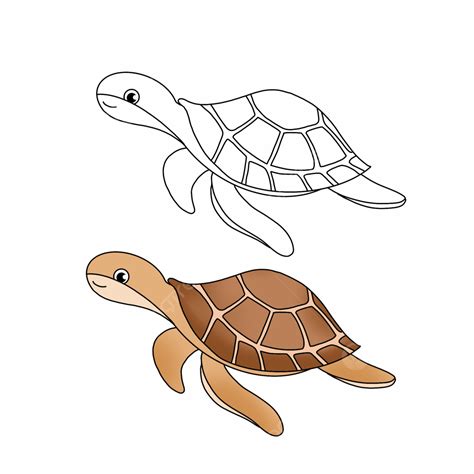 Image result for Simple Turtle Drawing