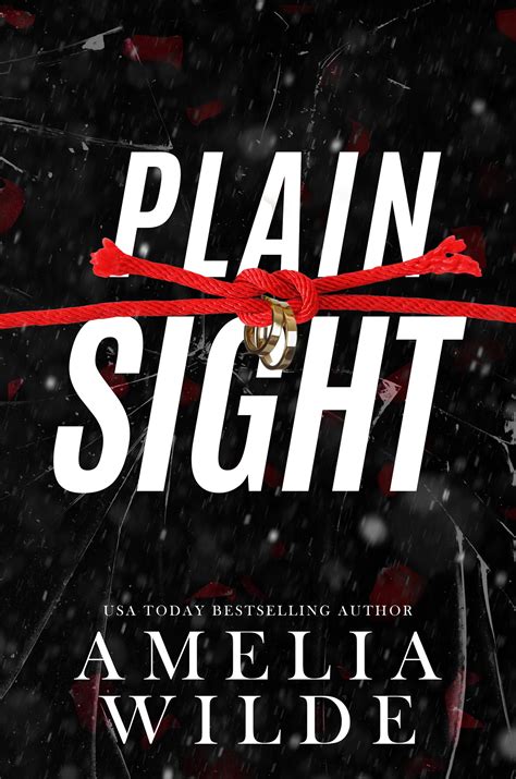 Plain Sight (Risk, #3) by Amelia Wilde | Goodreads