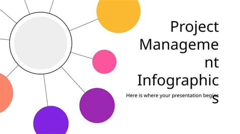 Image result for Project Manager Role Infographic