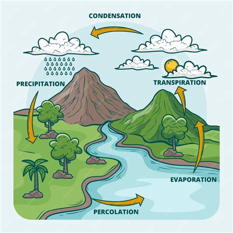 How To Draw Water Cycle For Class 2 at George Jefferson blog
