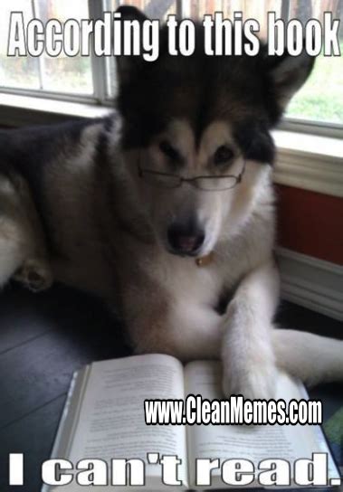 I Can't Read - Clean Memes