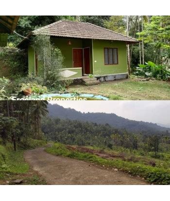 2.5 Acre Farm Land Engapuzha