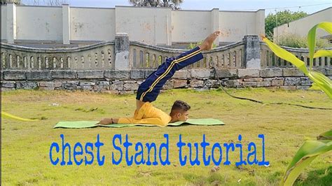 Chest Stand Tutorial 的图像结果