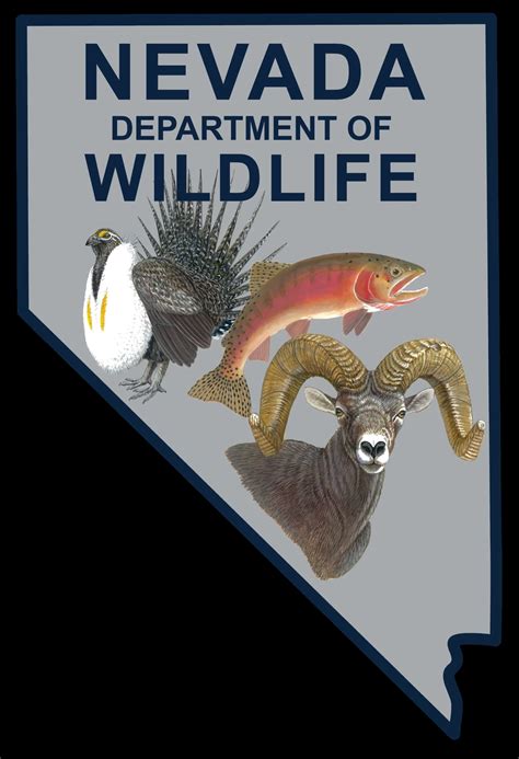 Eligibility - Big Game Tags - Nevada Hunting