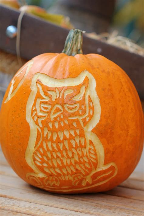 Owl Pumpkin Carving DIY Woodland Owl Pumpkin Carving (Free Stencil