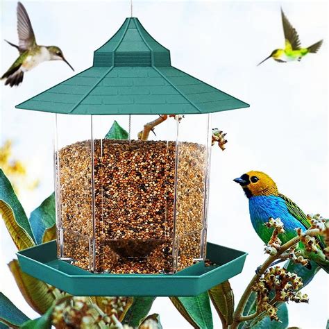 Gorgero Green Panorama Wild Bird Feeder, Hanging Bird Feeders for ...