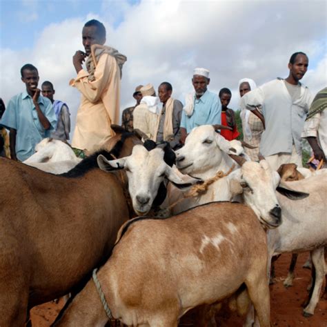 Image result for Paul Howe CSAT Book