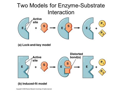 Biochemical 的图像结果