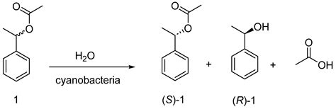 Biotransformations with Photobiocatalysts for Enantioselective Ester ...