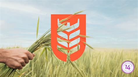 Design Thinking Vector Art 的图像结果