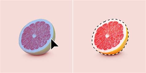 Photoshop Object Selection Tool 的图像结果