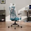 GREEN SOUL Zodiac Lite High Back Ergonomic Chair|Home, Office, WFH|1D ...