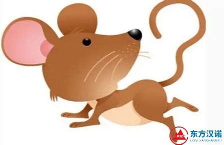 猫和老鼠：拿坡里老鼠_腾讯视频