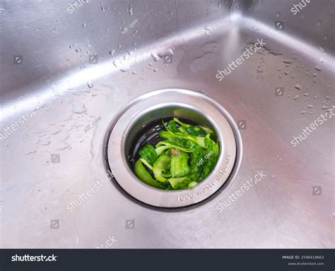 Image result for Kitchen Disposal Unit Clean