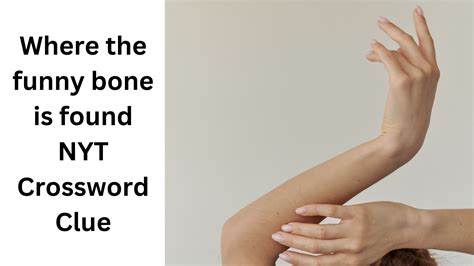Where the funny bone is found NYT Crossword Clue - August 18 2024