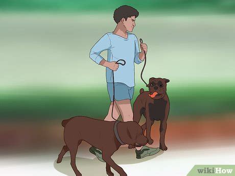 Image result for Guide Dog Trainer