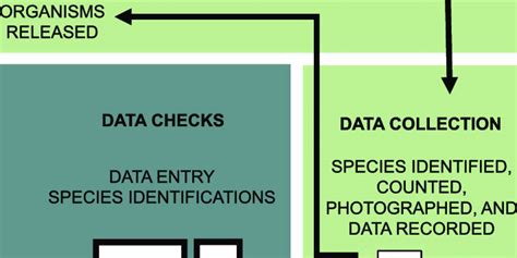 Image result for Sampling and Data Collection