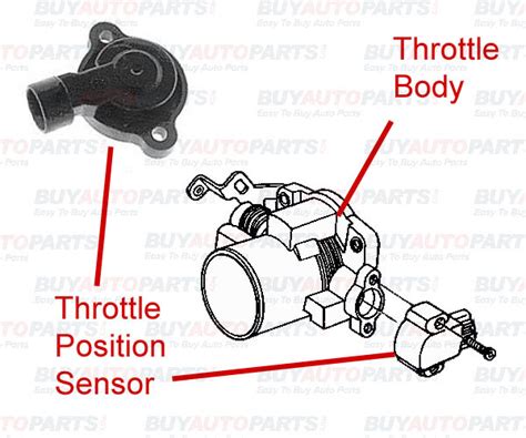 Image result for Throttle Position Sensor Location