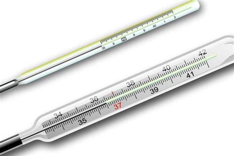正常体温是多少（教师资格证考试体温自测表）_环球信息网