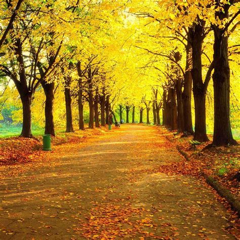 FAZAO-MALFAKASSA NATIONAL PARK (2026) All You Need to Know BEFORE You ...