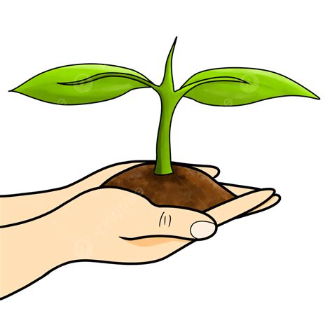 Plant Growing In Hand