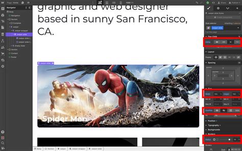 Swiper Slider Tutorial 的图像结果