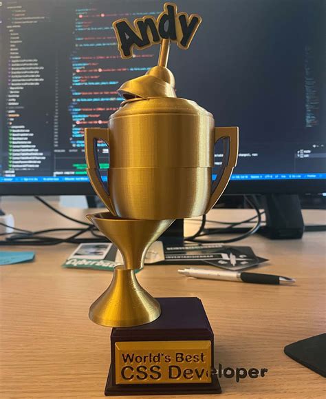 Image result for Best CSS Developer Trophy