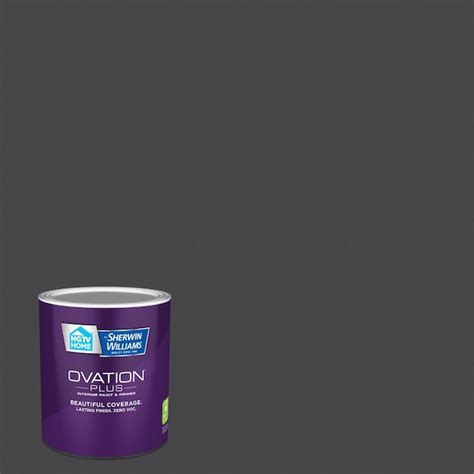 HGTV HOME by Sherwin-Williams Ovation Plus Eggshell Muskeg Grey 4005-2c ...