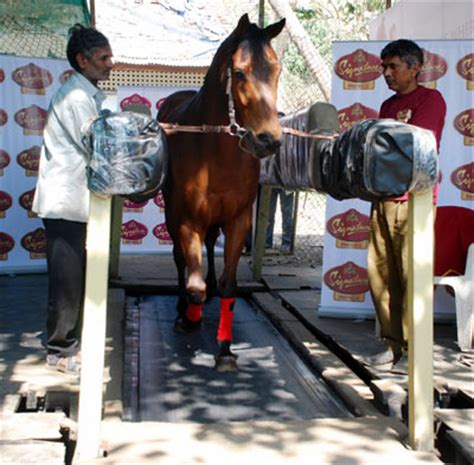 End of the race for Mahalaxmi Race Course? - Rediff Sports
