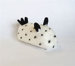 Image result for Sea Bunny Plushie
