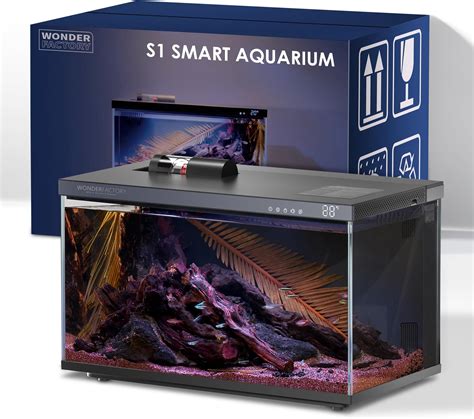 Amazon.com : 5 Gallon Smart Aquarium Fish Tank Starter kit, Including ...
