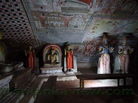 Upulvan - JungleKey.in Image