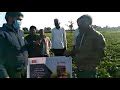 Manufacturer of Agricultural Pesticides by Startek Chemicals Limited ...
