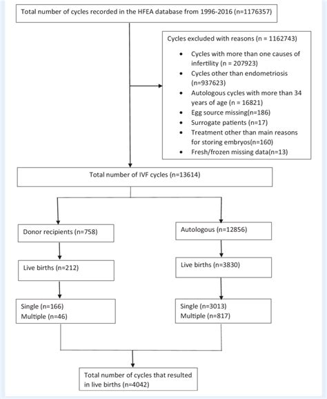 Image result for Collection Selection Data Process