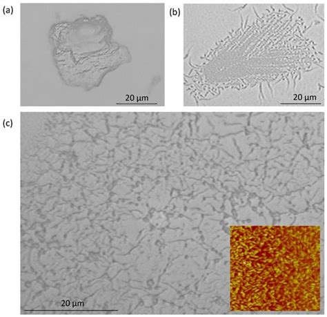 Plasma-Induced Fibrillation and Surface Functionalization of Cellulose ...