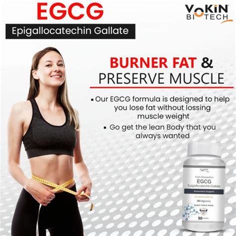 Vokin Biotech EGCG Epigallocatechin Gallate Antioxidant Support ...