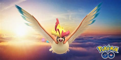 Image result for Pidgey Evolution Level