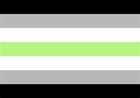 agender flag