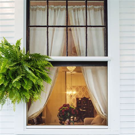 Image result for Screen Box for Window