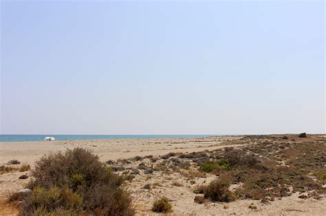 https://www.balanus.eu/images/playa-de-cerrillos-el-ejido-2.jpg