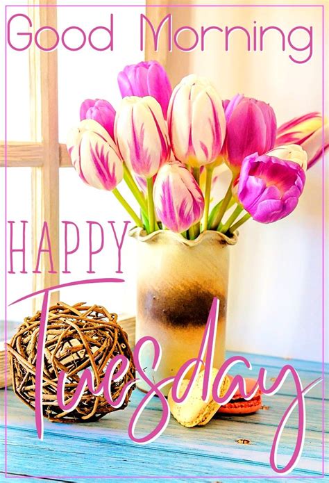 White And Pink Tulips - Good Morning, Happy Tuesday Pictures, Photos ...