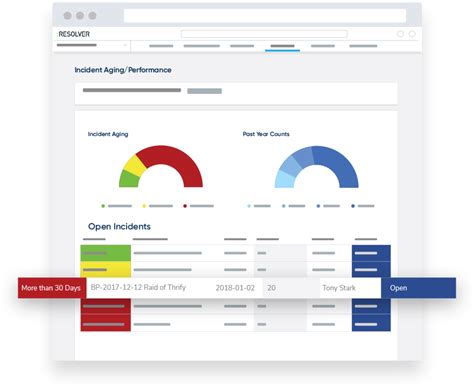 Rezultat imagine pentru Resolver Software