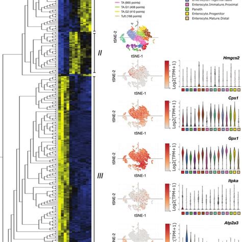 Image result for Cell Type Gene Expression