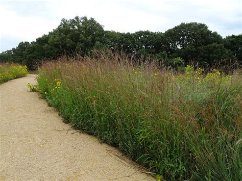 The Blood Run Nature Area (Sioux Falls) - 2020 What to Know Before You ...