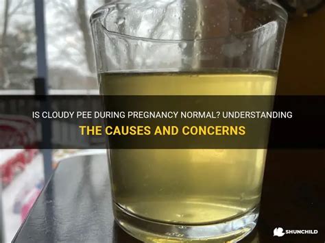 Is Cloudy Pee During Pregnancy Normal? Understanding The Causes And ...
