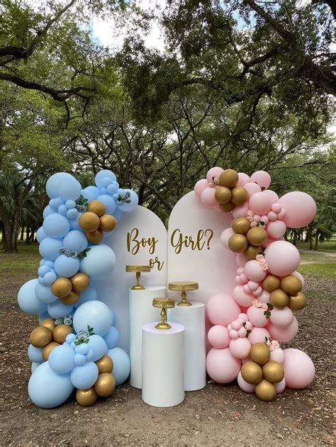 Gender reveal ideas gender reveal party gender reveal idea gender ...