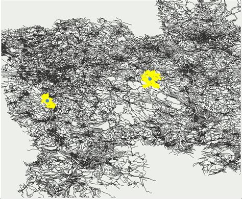 OpenStreetMap Java Example 的图像结果