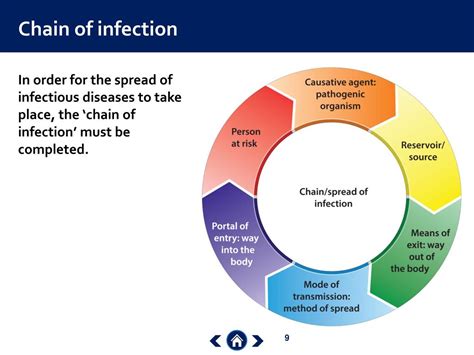 PPT - Infection Control PowerPoint Presentation, free download - ID:7775891