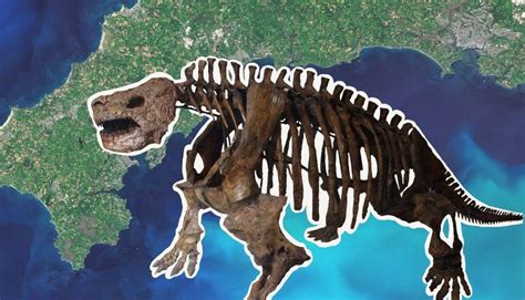 Mass Extinctions: The End of the World as We Know It, Oxford University ...